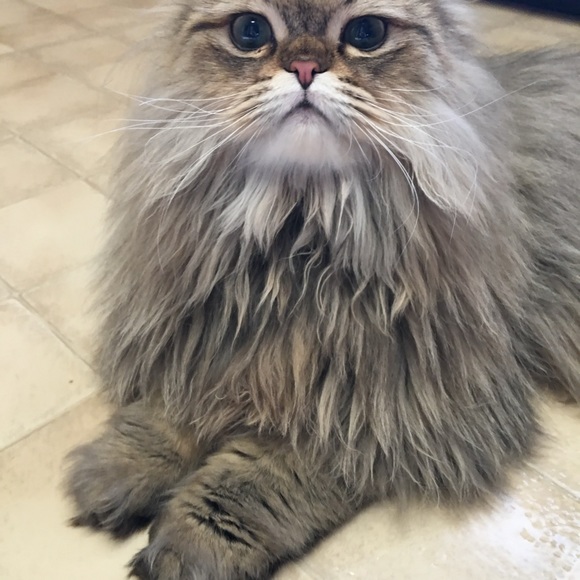 Meet your Posher, Sharon - Picture 8 of 16